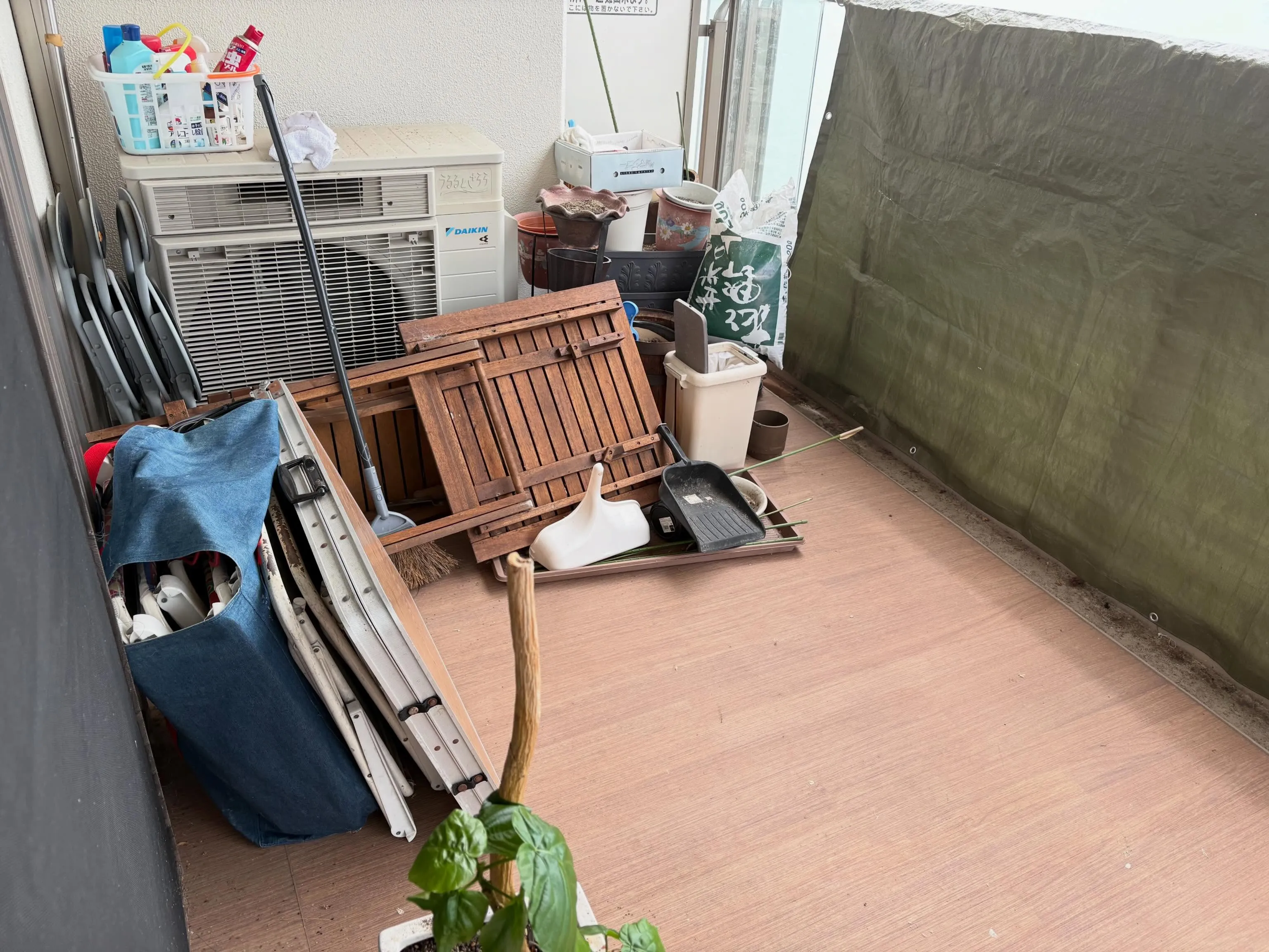 清掃日和です☀️