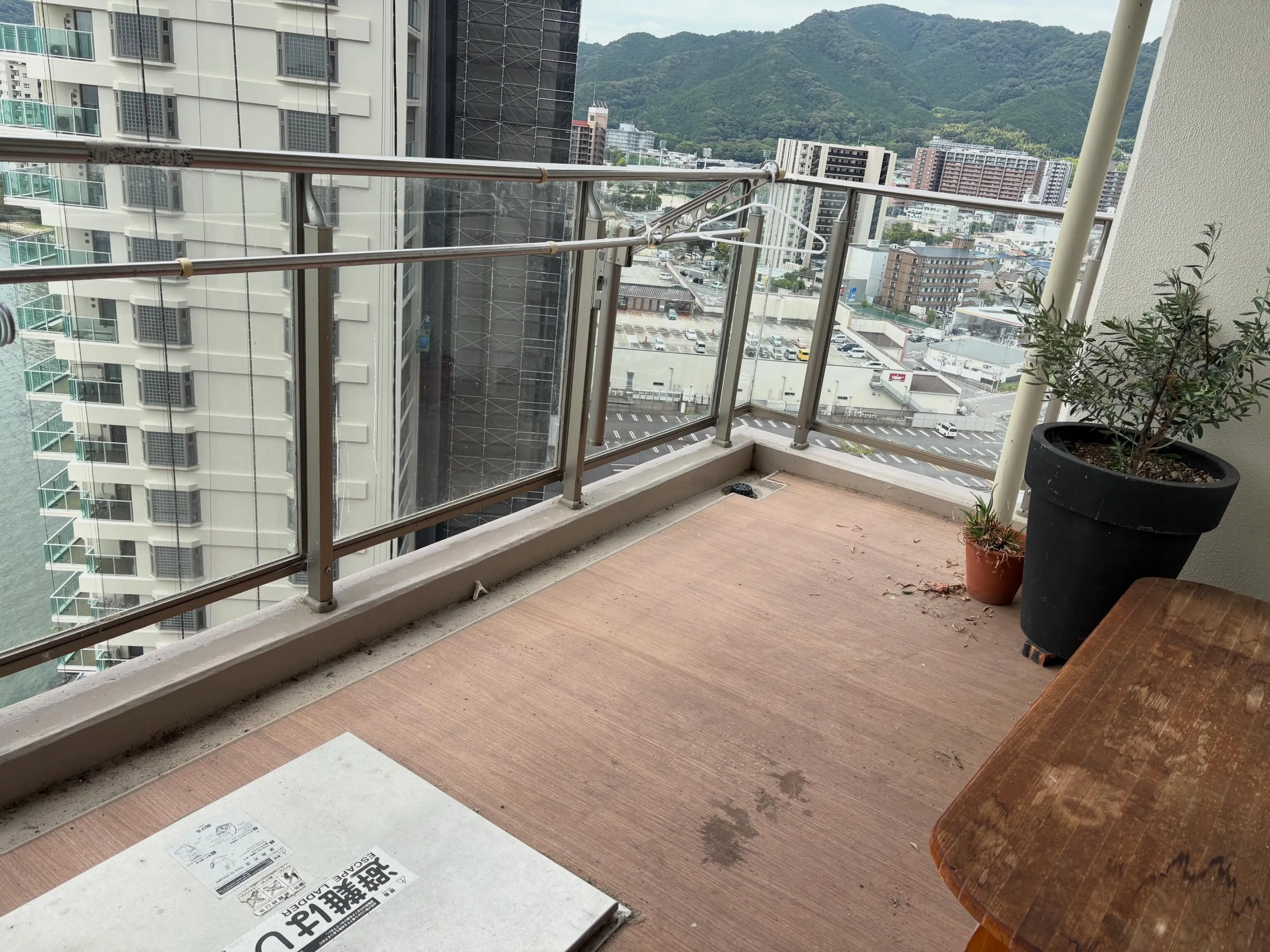 清掃日和です☀️