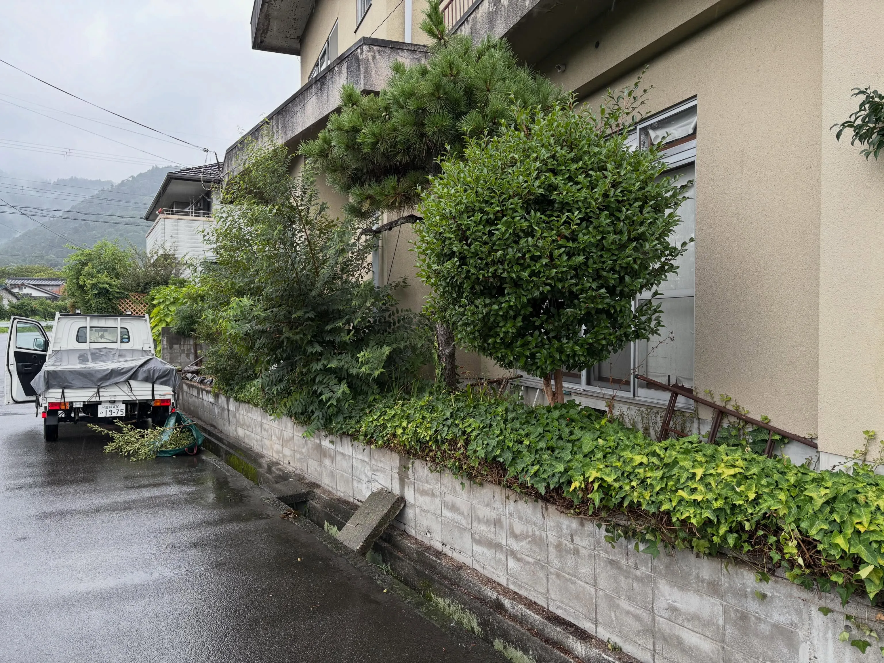 小さな世界のお話です🌿