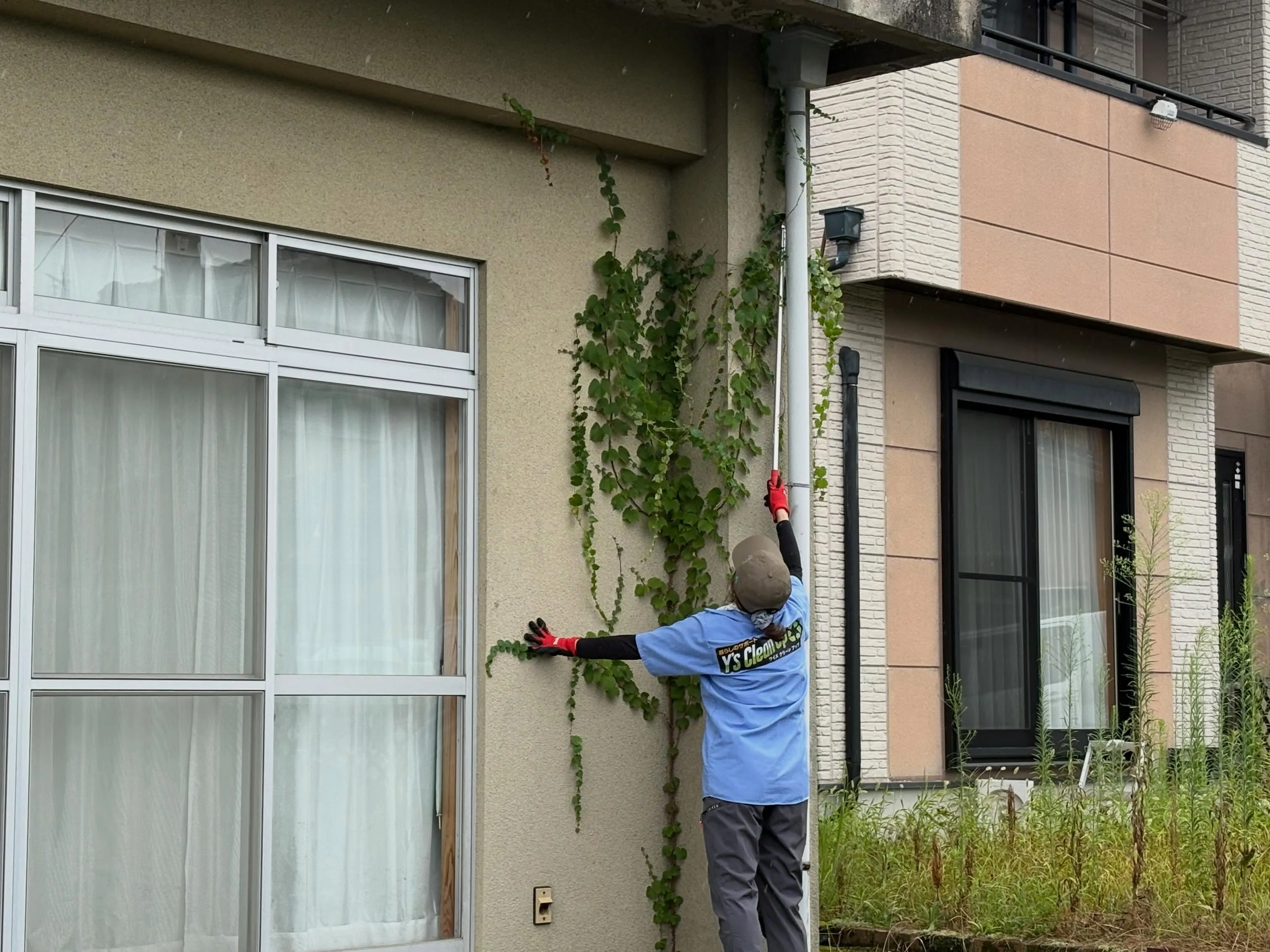 小さな世界のお話です🌿