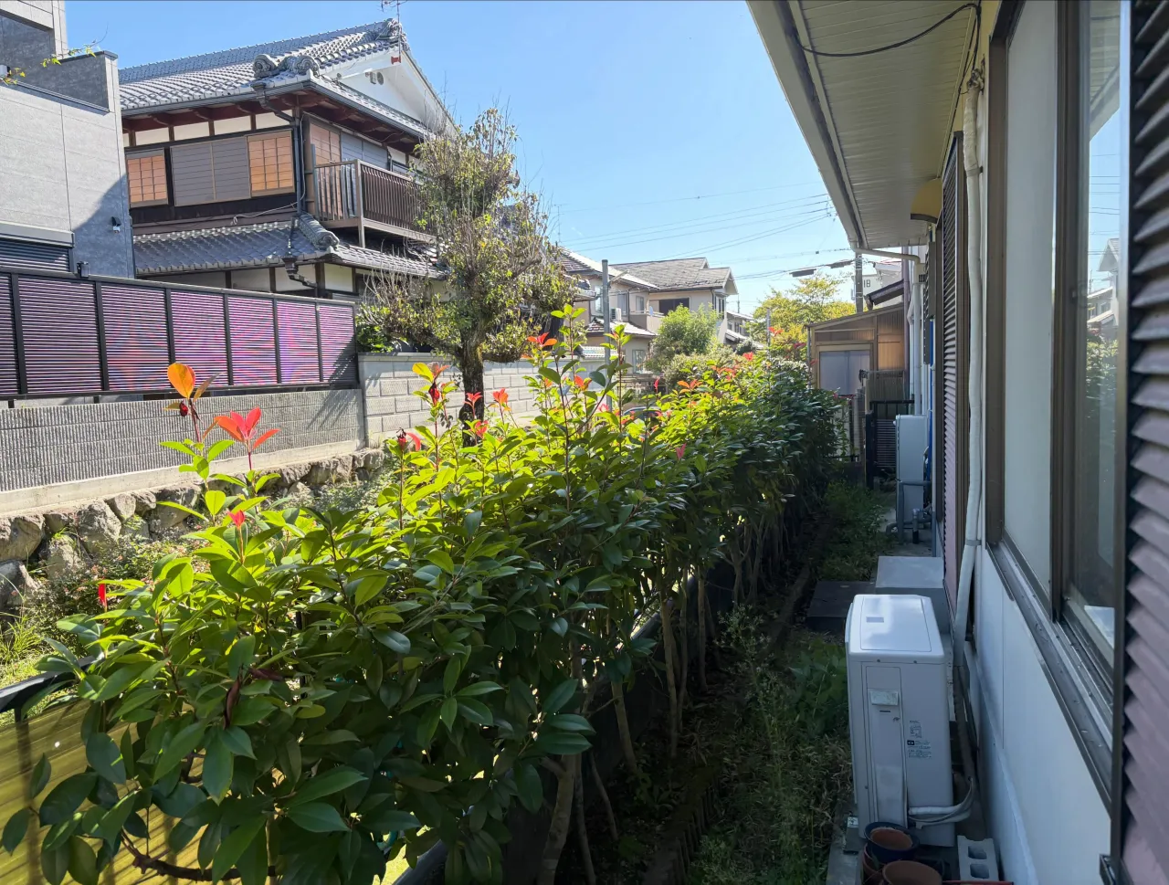 y'sclean up暮らしのサポート頑張っております。