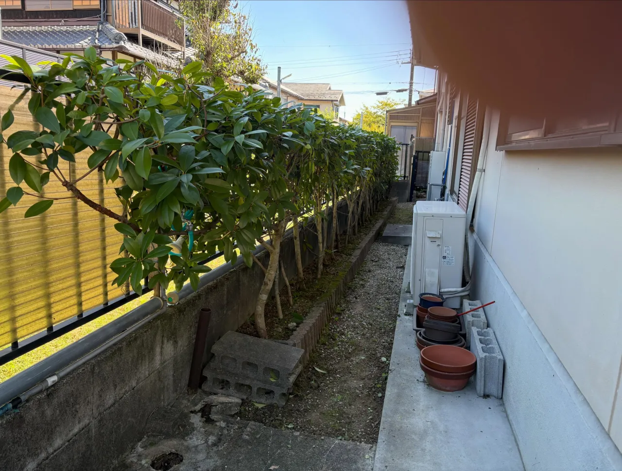 y'sclean up暮らしのサポート頑張っております。
